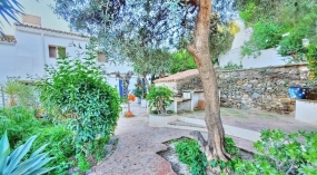 243369.jpg