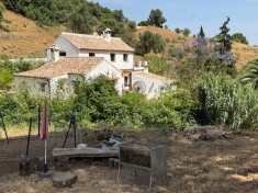 259243.jpg