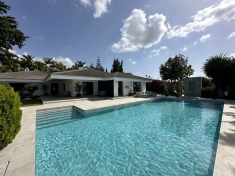 290955.jpg