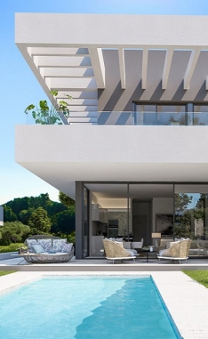 293853.jpg